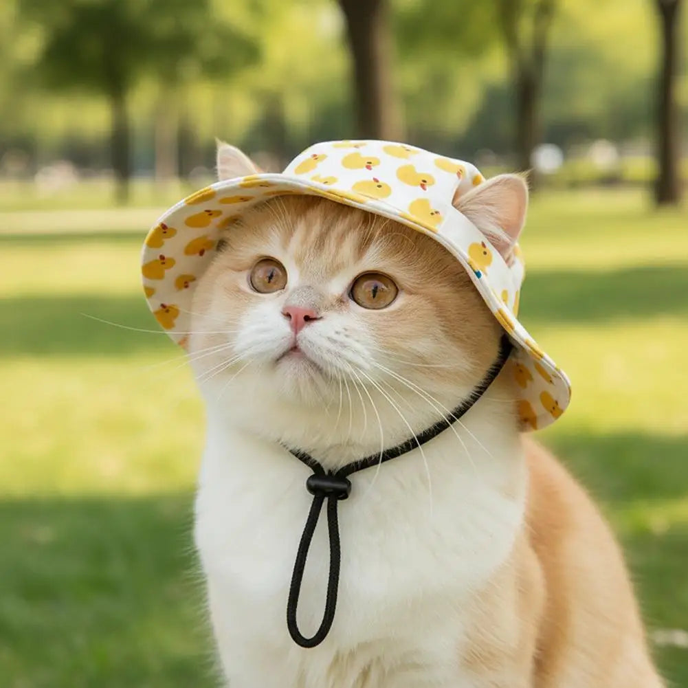 Cute Print Cat Hat for Small Medium Cats - MyPetDollar.com