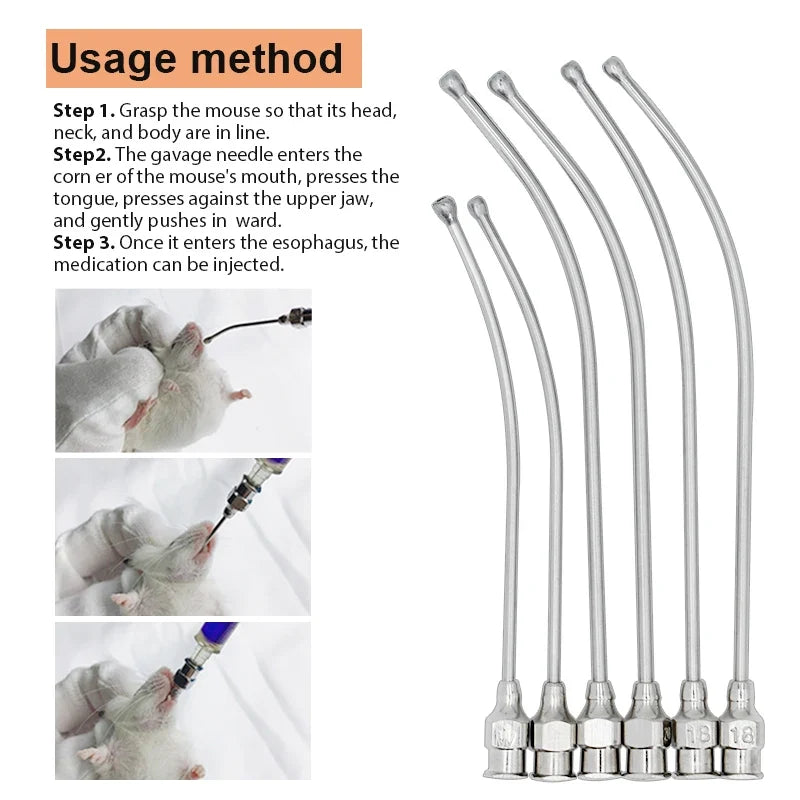 1Pcs Stainless Steel Bird Feeding Syringe - MyPetDollar.com