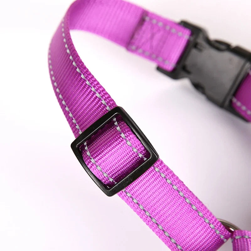 No Pull Dog Harness for Medium Large Dogs - MyPetDollar.com