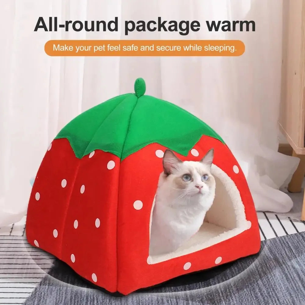Bright Colored Pet Bed Space Pet Bed Cozy - MyPetDollar.com