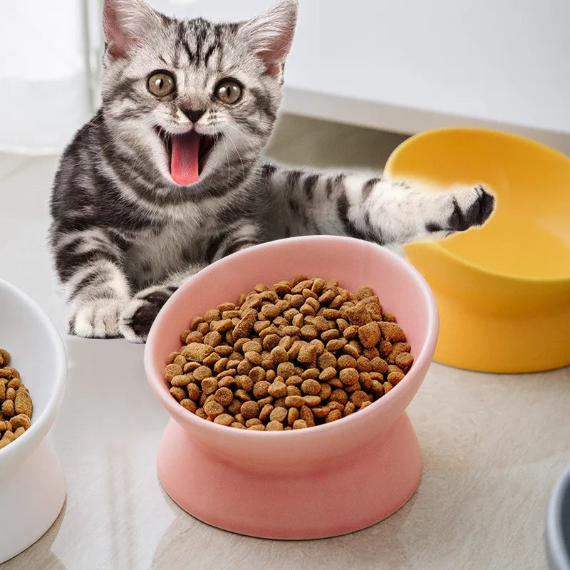 Elevated Cat Bowls Small Dog 15° Tilted - MyPetDollar.com