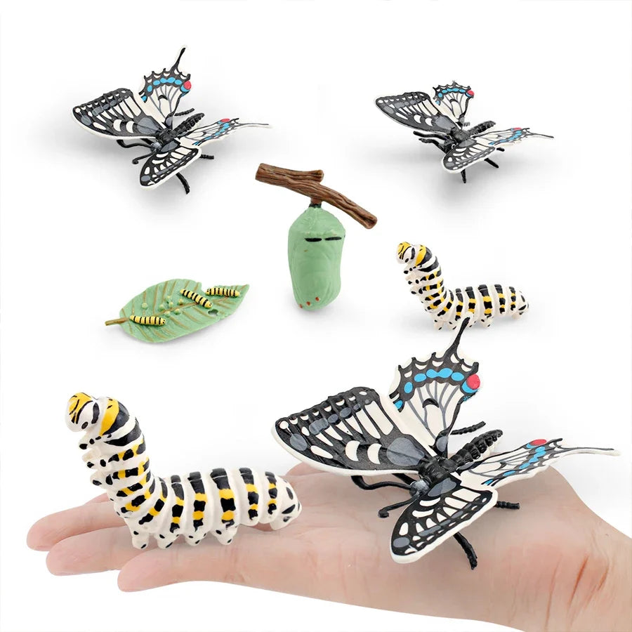 Realistic Insect Grasshopper Mosquito Cicad - MyPetDollar.com