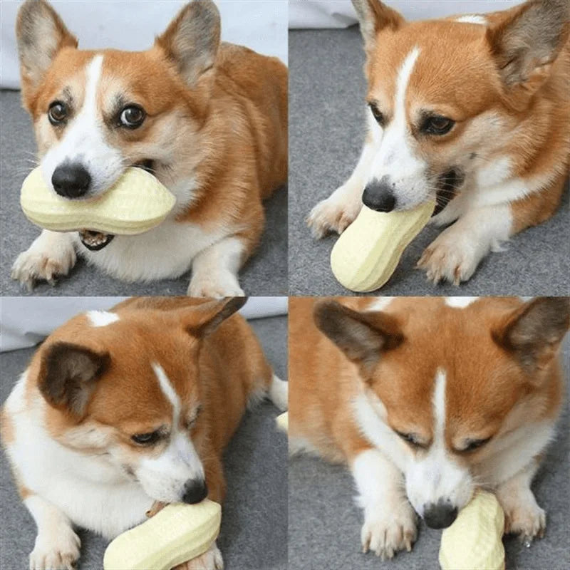 Dog Chewing Toy Simulation Peanut Squeaking - MyPetDollar.com