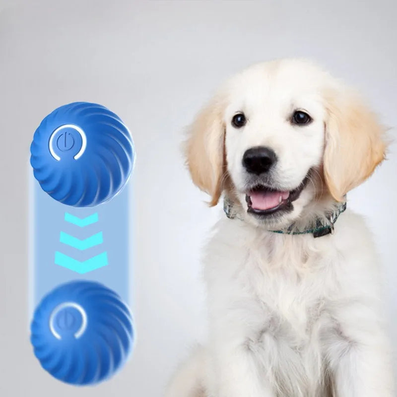Pet Toy Ball Automatic Moving Dog Toy Ball - MyPetDollar.com