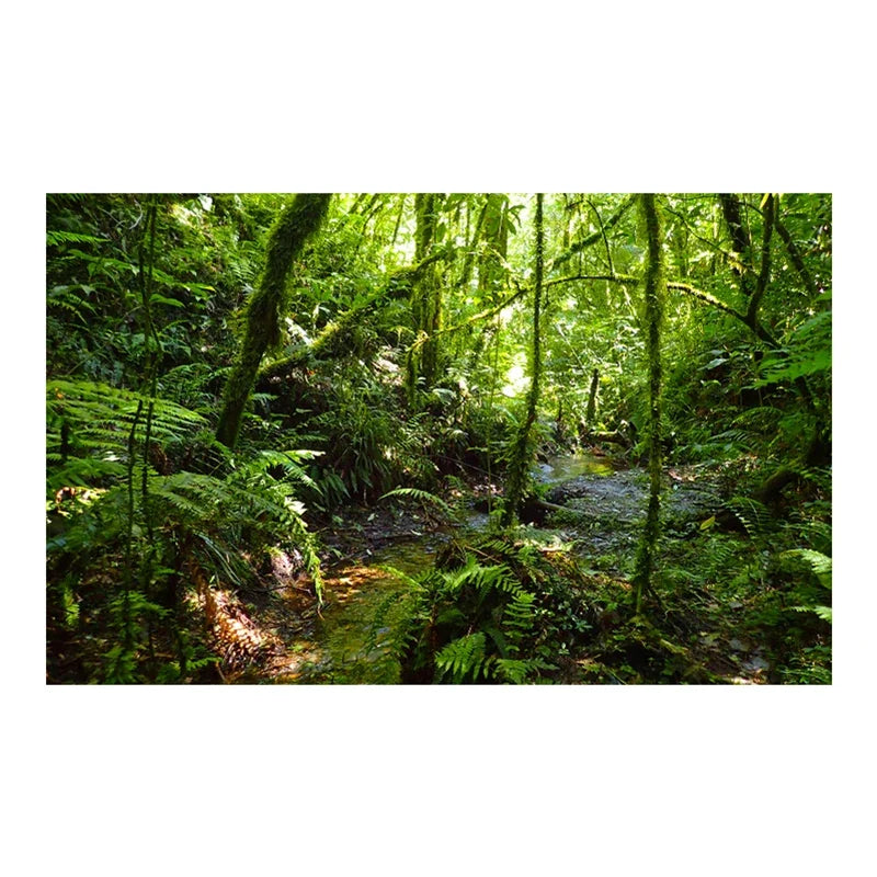 Realistic 3D Green Moss Tree Root Aquarium - MyPetDollar.com
