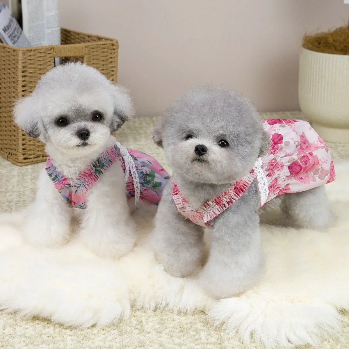 Yorkshire French Waist Skirt Dog Spring and - MyPetDollar.com