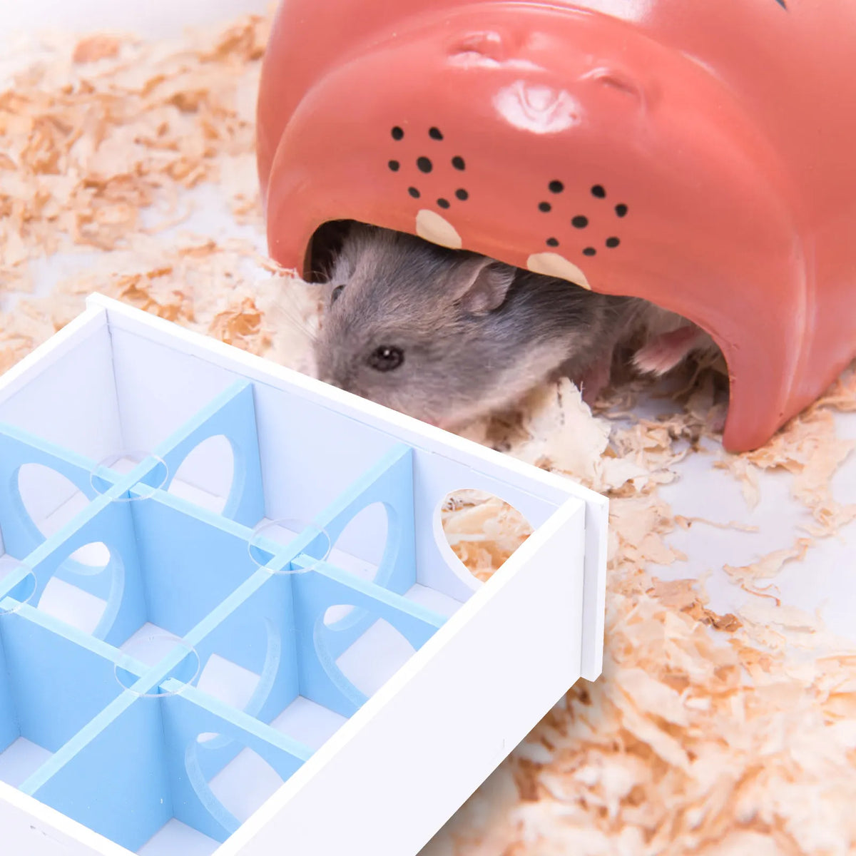 Hamster Maze Tubes Acrylic Small Animal - MyPetDollar.com