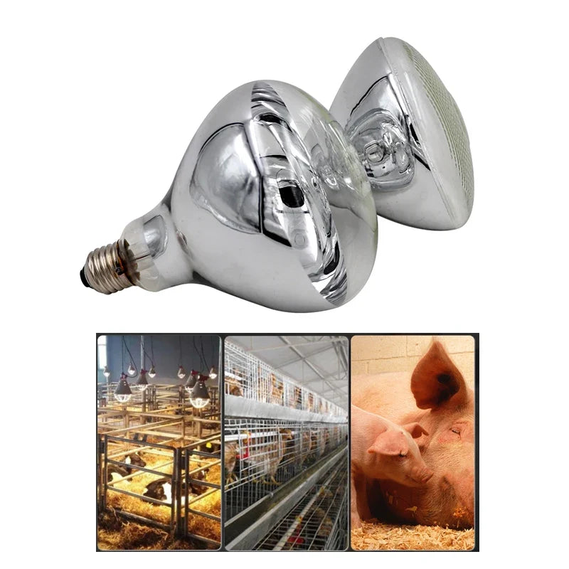220V 100W/150W/200W/250W Thickened Heating - MyPetDollar.com