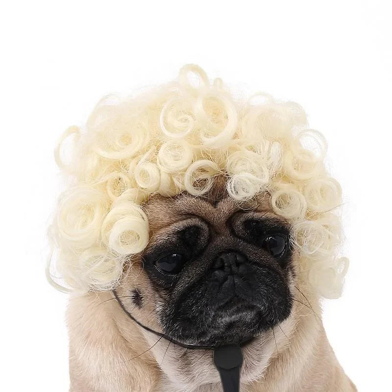 Pet Wig Dog And Cat Spoof Wig Pet Supplies - MyPetDollar.com