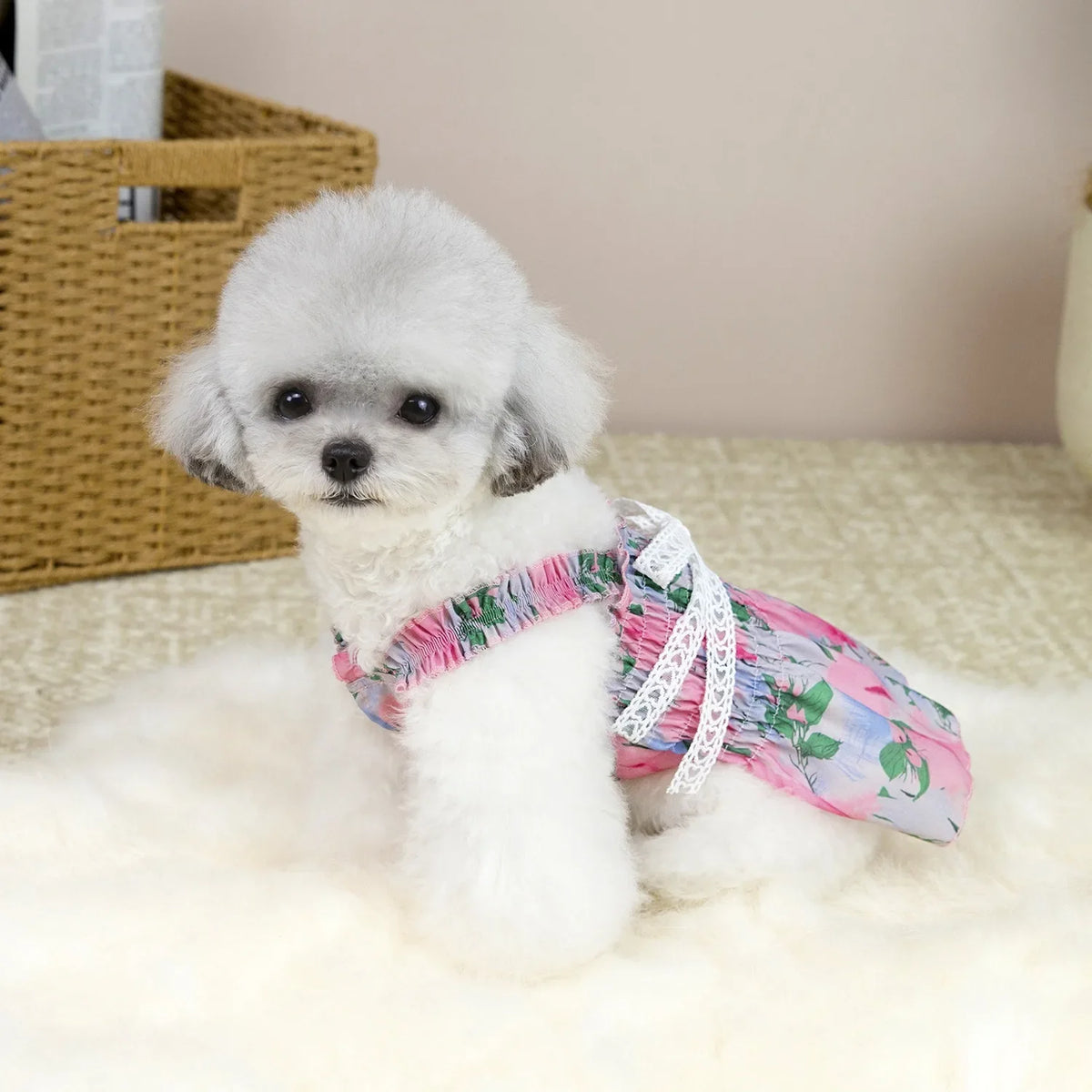 Yorkshire French Waist Skirt Dog Spring and - MyPetDollar.com