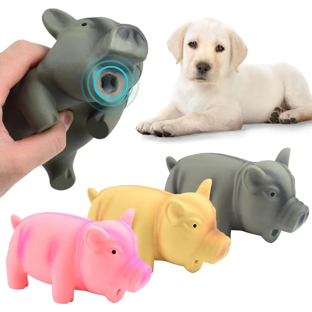 1PC Cute Rubber Sound Pig Grunting Squeak - MyPetDollar.com