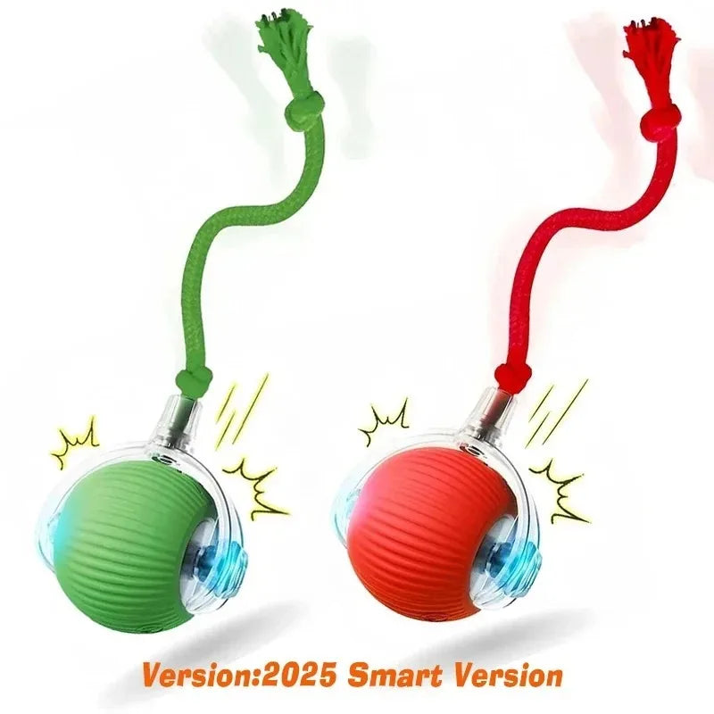 Rechargeable Dog Interactive Ball Toy Automatic Rolling Smart Pet Teaser