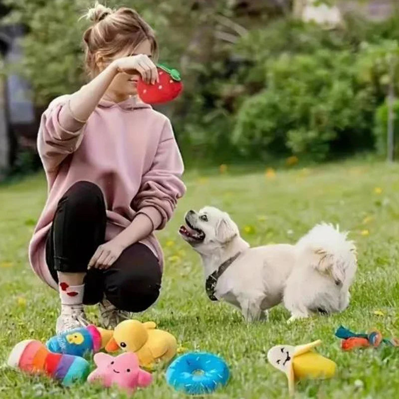 16 Pack Random Squeaky Dog Plush Toy Set - MyPetDollar.com