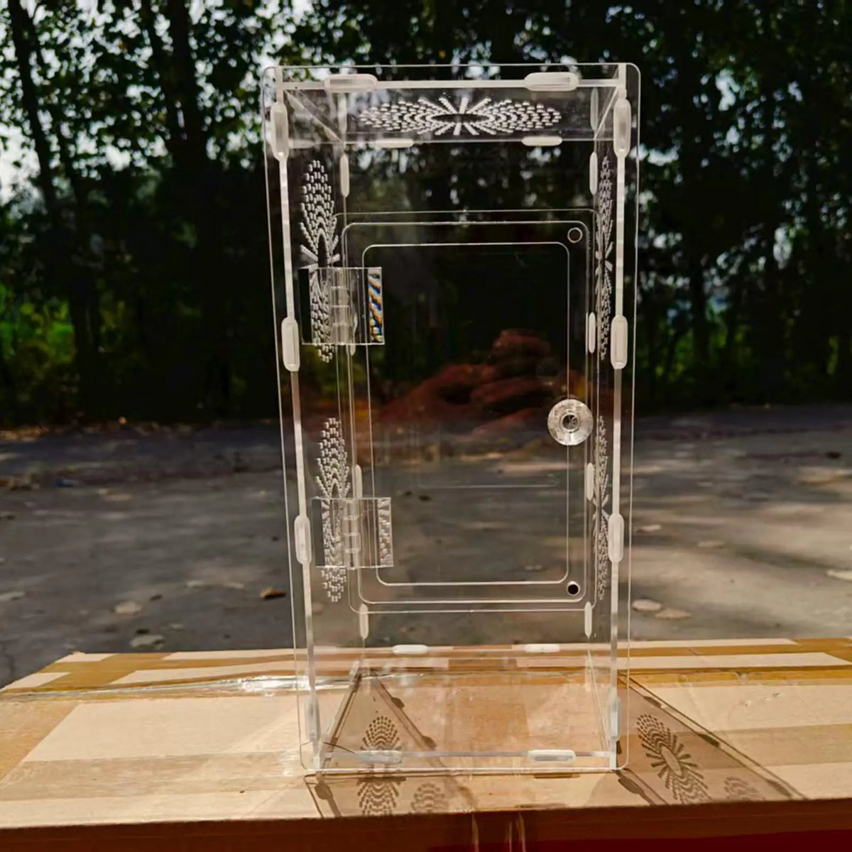 DIY Assembly Acrylic Small Reptile Terrarium - MyPetDollar.com