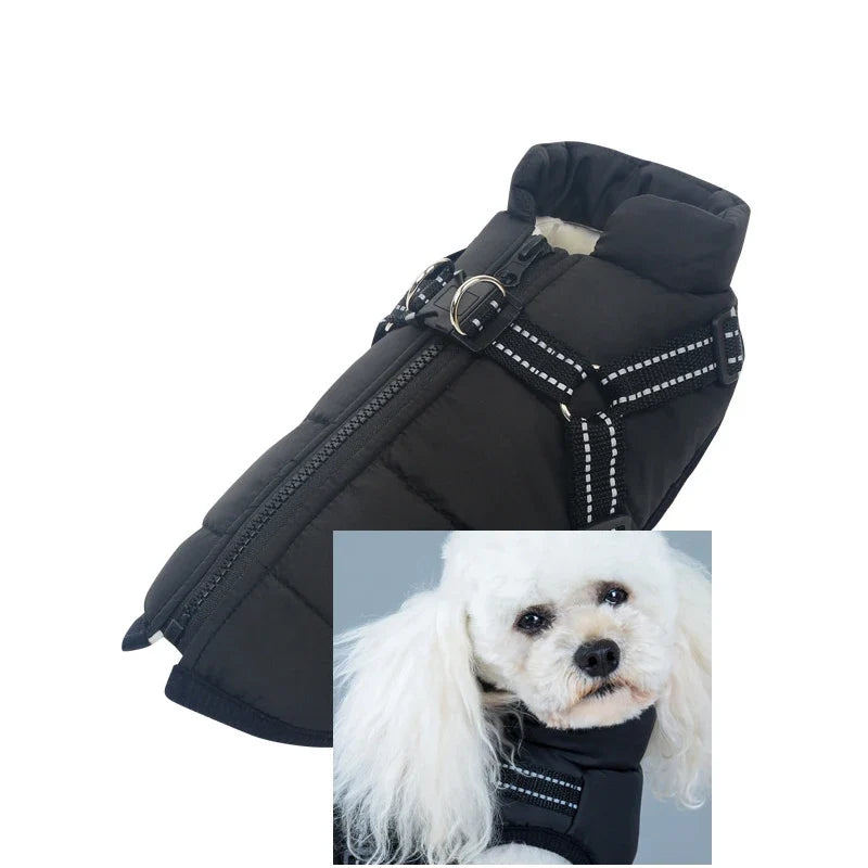 Customizable Winter Dog Clothes GWT330600 - MyPetDollar.com