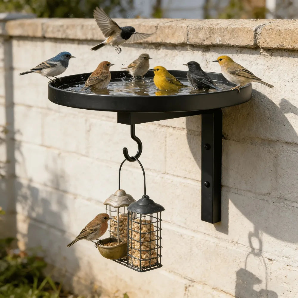 3-in-1 Wall Mounted Metal Bird Feeder and - MyPetDollar.com
