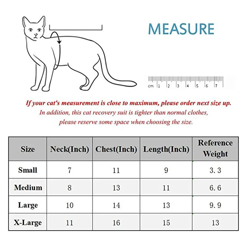 Cat Surgery Recovery - MyPetDollar.com