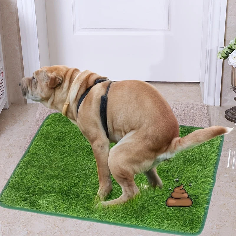 Non-Slip Ultimate Washable Dog Grass Mat – Dog Beds & Mats