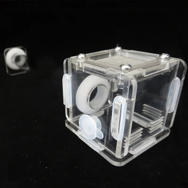 DIY Various Size Ant Farm Bamboo Tube Nest - MyPetDollar.com