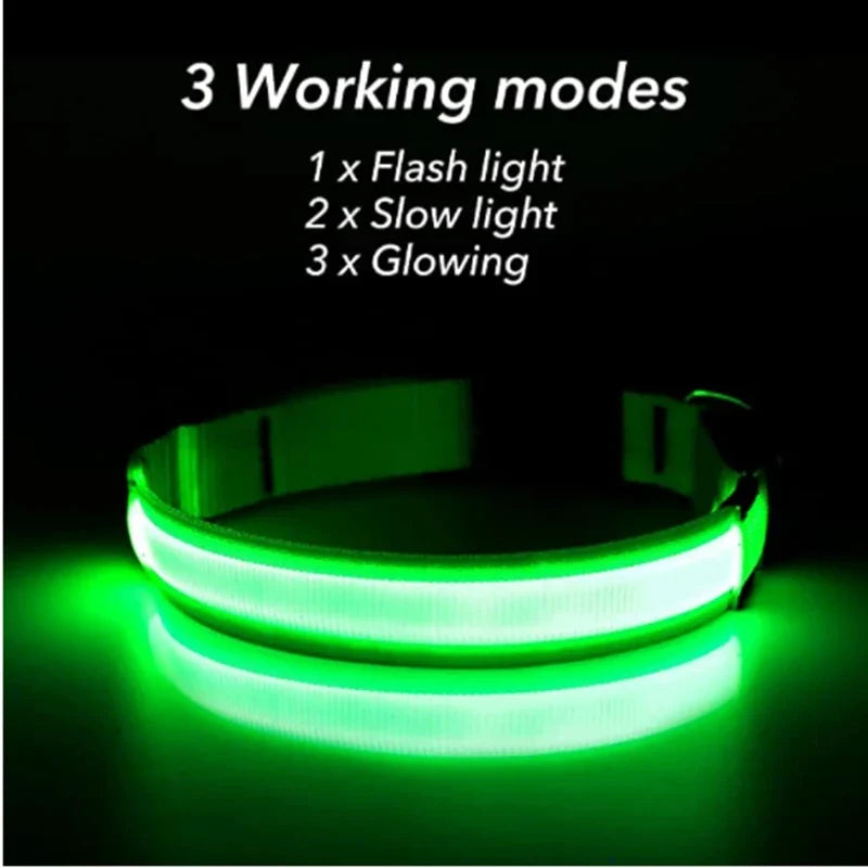 USB Rechargeable Luminous Collar Adjustable - MyPetDollar.com