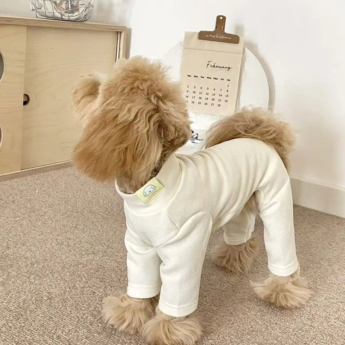 Dog Pajamas for Small Medium Dogs Recovery - MyPetDollar.com