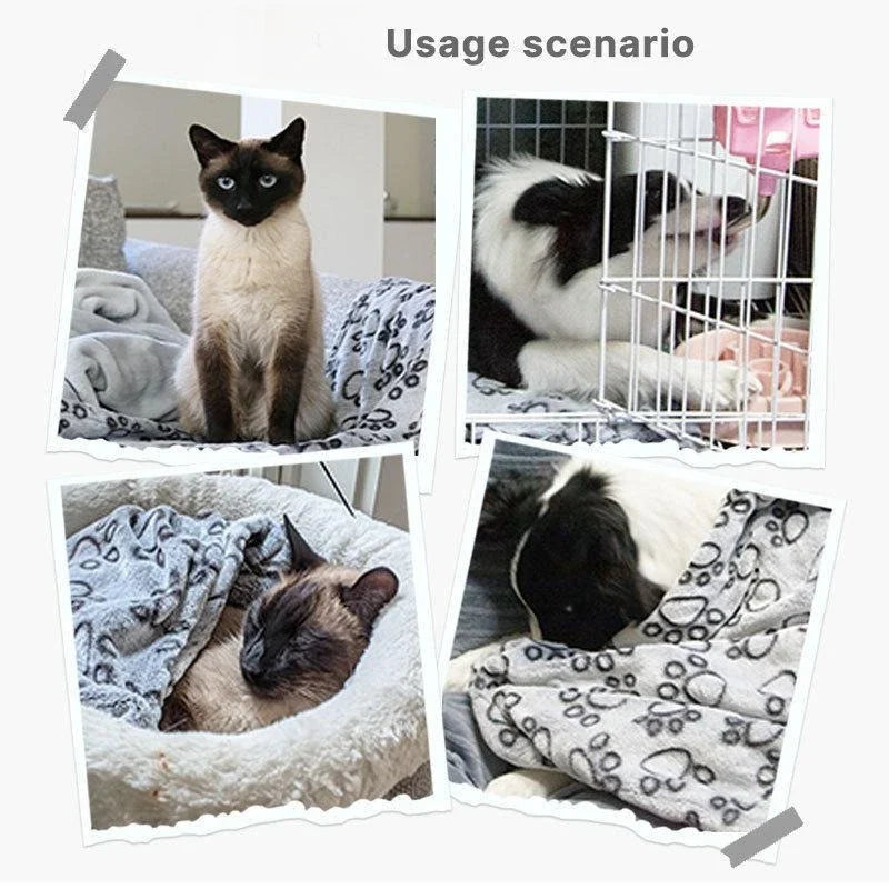 Pet blanket cushion, warm coral fleece cat - MyPetDollar.com