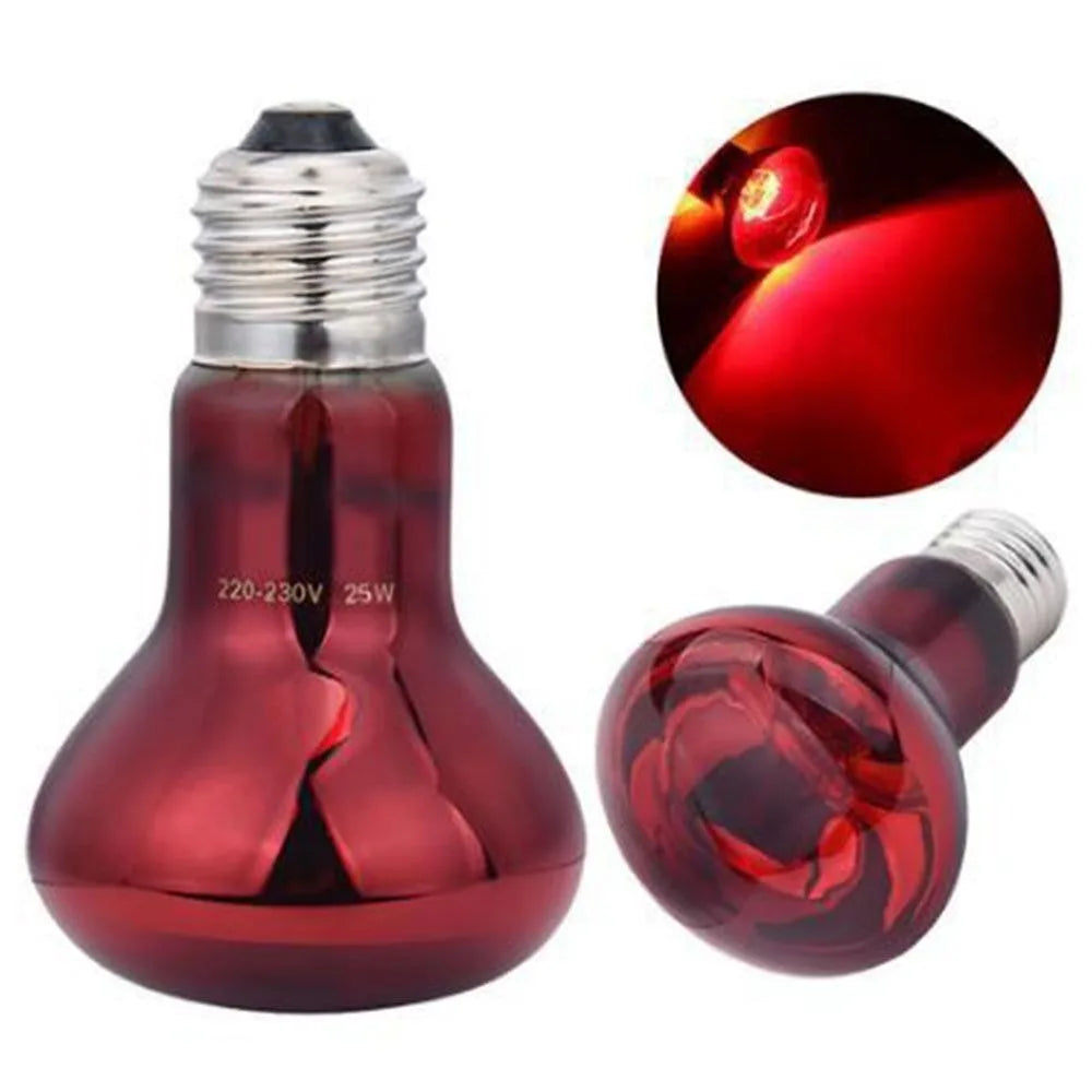 Night Light UVA Led Pet Heating Lamp - MyPetDollar.com