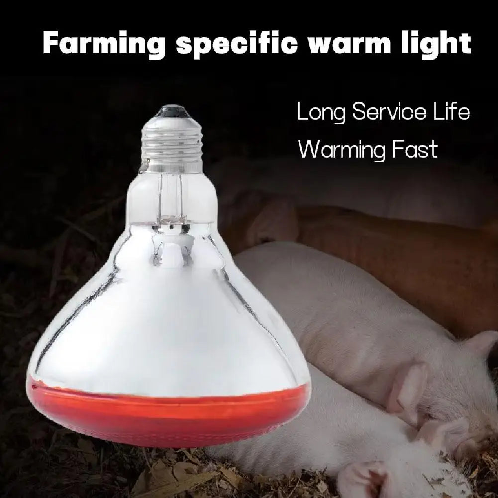 100w 150w 175w 200w 250w 275w Pet Red - MyPetDollar.com