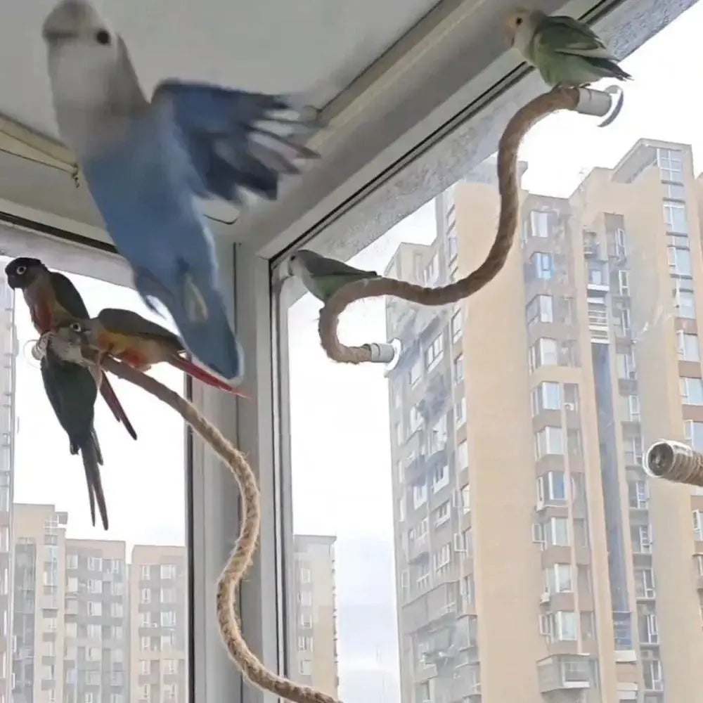 Interactive DIY Bendable Parrot Perch - MyPetDollar.com