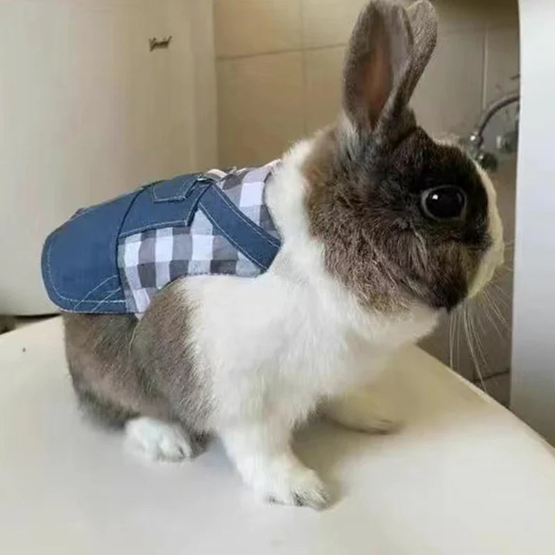 Walking Small Animals Pet Harness for - MyPetDollar.com
