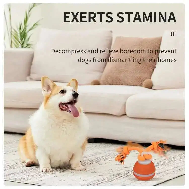 Smart Dog Toys Interactive Teasing Ball With - MyPetDollar.com