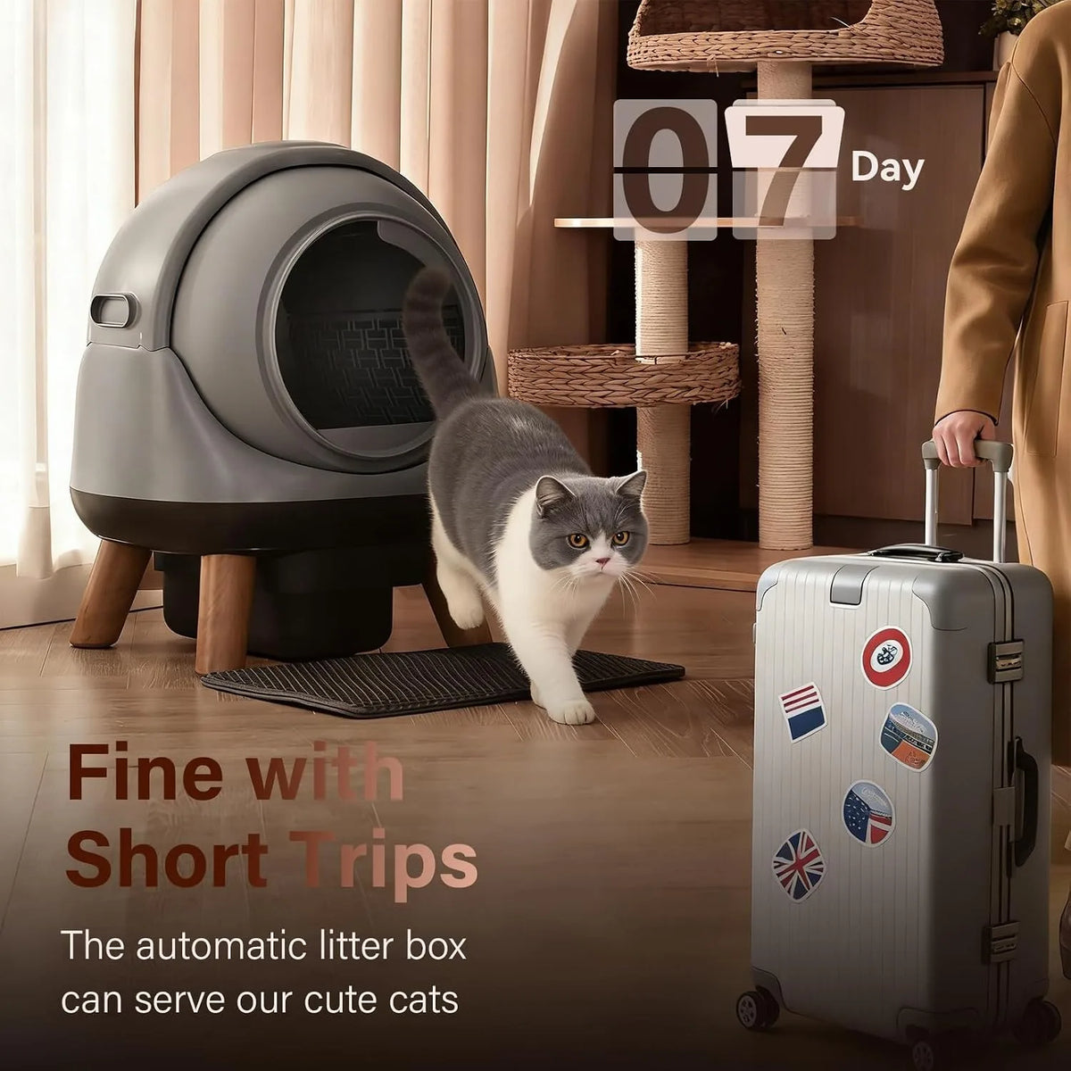 55L Self Cleaning Cat Litter Box,Odor - MyPetDollar.com