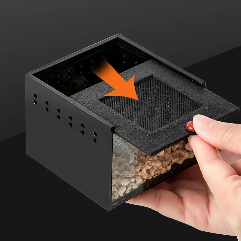 Reptile Crawling Pet Feeding Lizard Pet - MyPetDollar.com