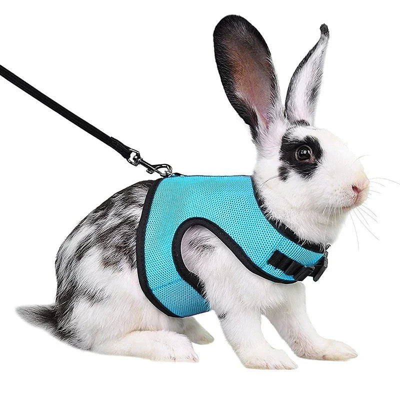 Harness with Leash Set for Rabbits - MyPetDollar.com