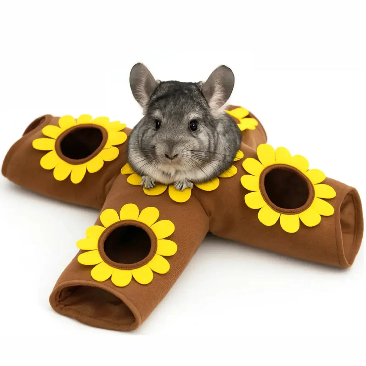 Xiaochong Tunnel playable and dodgeable - MyPetDollar.com