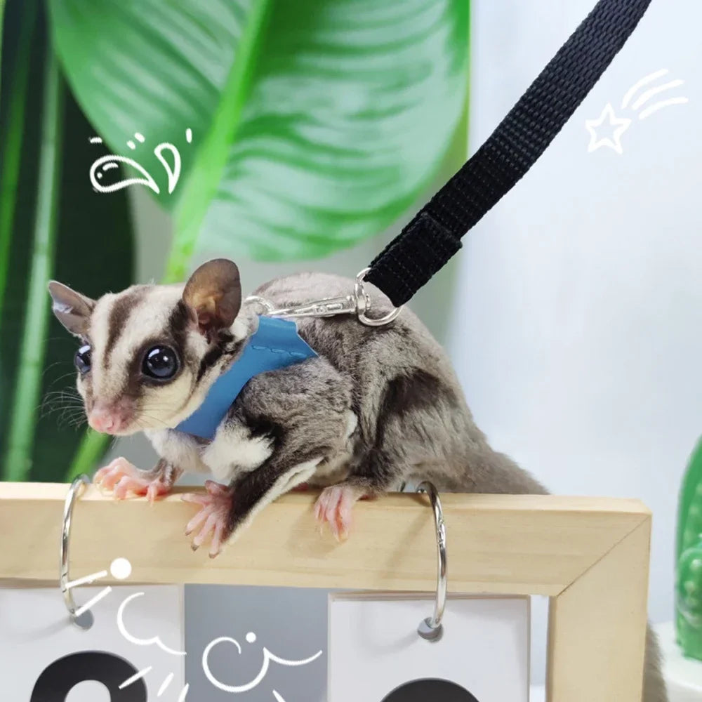 4 Pcs /set Sugar Quoll Harness + Leash Set - MyPetDollar.com