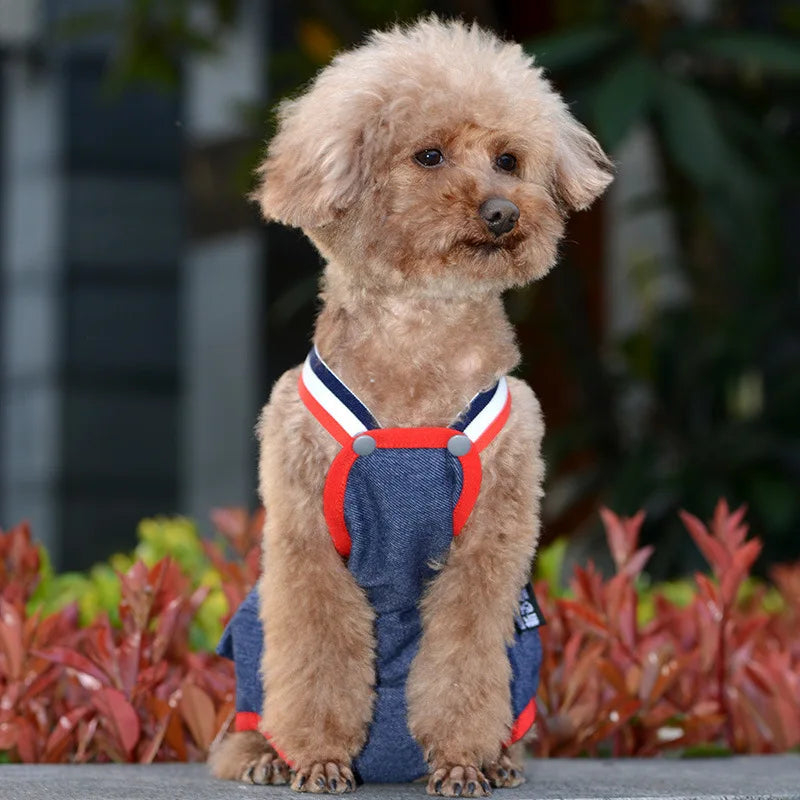 Cat Dog Female Panties Denim Strap Pet - MyPetDollar.com