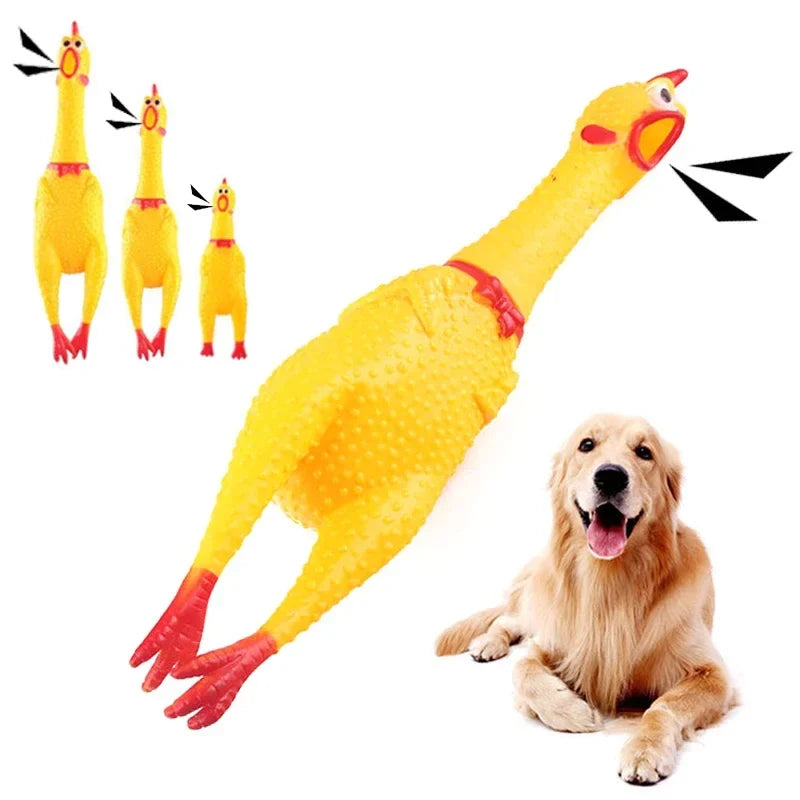 2/3/5PCS Chicken Screaming Chicken Squeezing - MyPetDollar.com