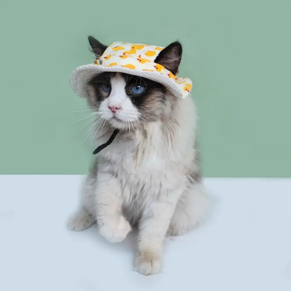 High-quality Adjustable Pet Sun Hat Cat Dog - MyPetDollar.com