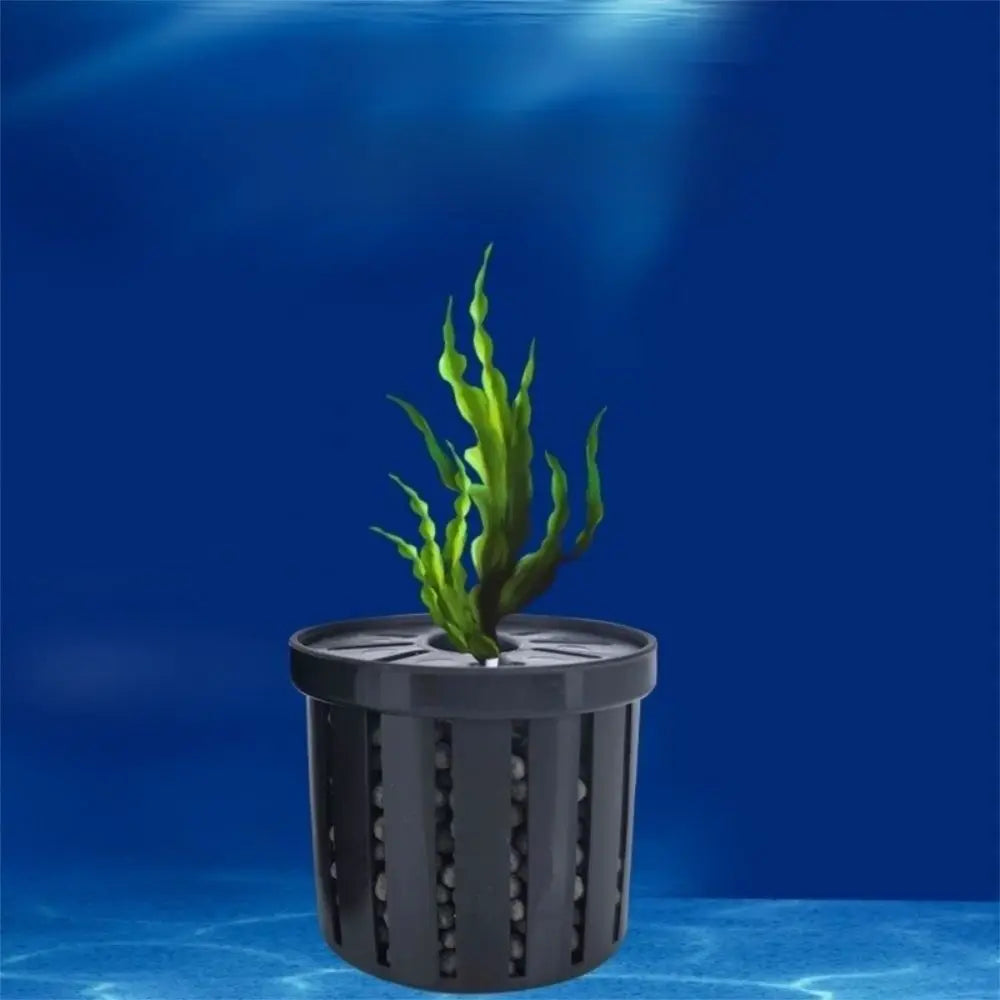 Water Plant Stand Fish Tank Hydroponic - MyPetDollar.com