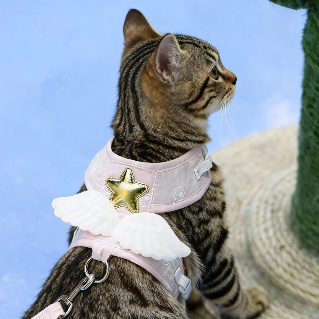 Angel Wing Cat Harness and Leash Set, Cute - MyPetDollar.com