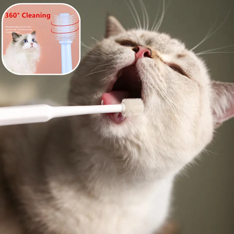 Cat Toothbrush Soft Hair Brush for Cats - MyPetDollar.com