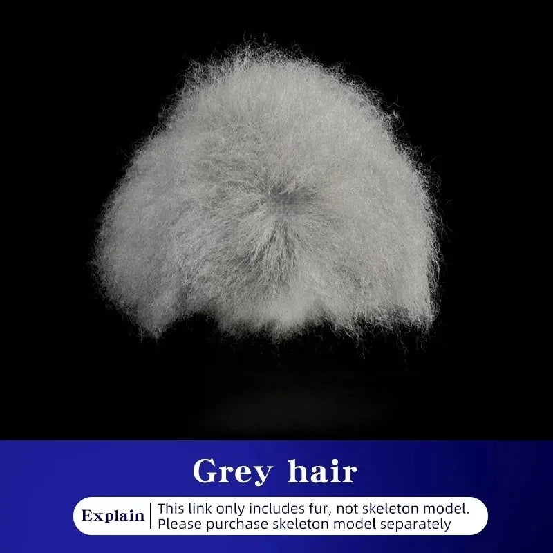Pet Grooming Teddy Pet Simulated Head - MyPetDollar.com