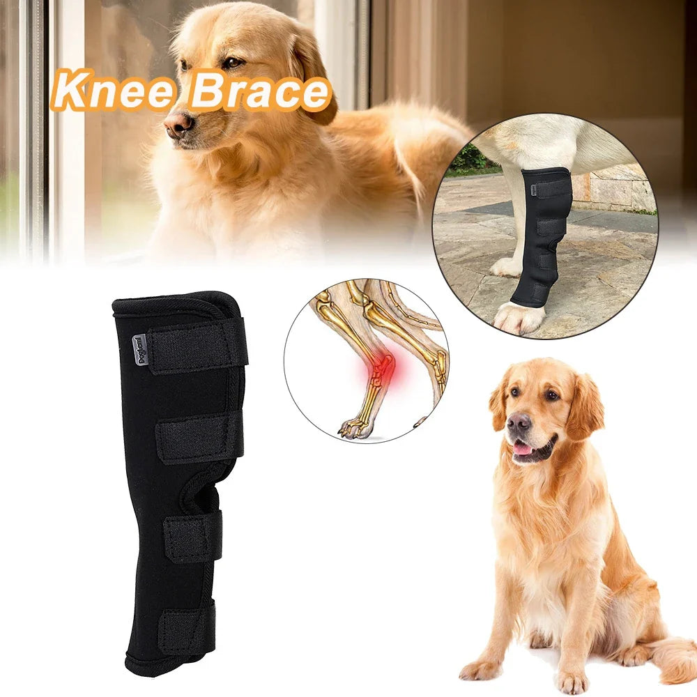 1 Pcs Breathable Dog Support Brace Joint - MyPetDollar.com