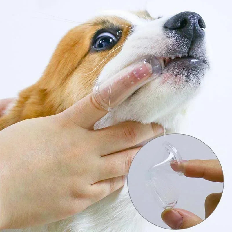 Super Soft Pet Finger Toothbrush Dog Brush - MyPetDollar.com