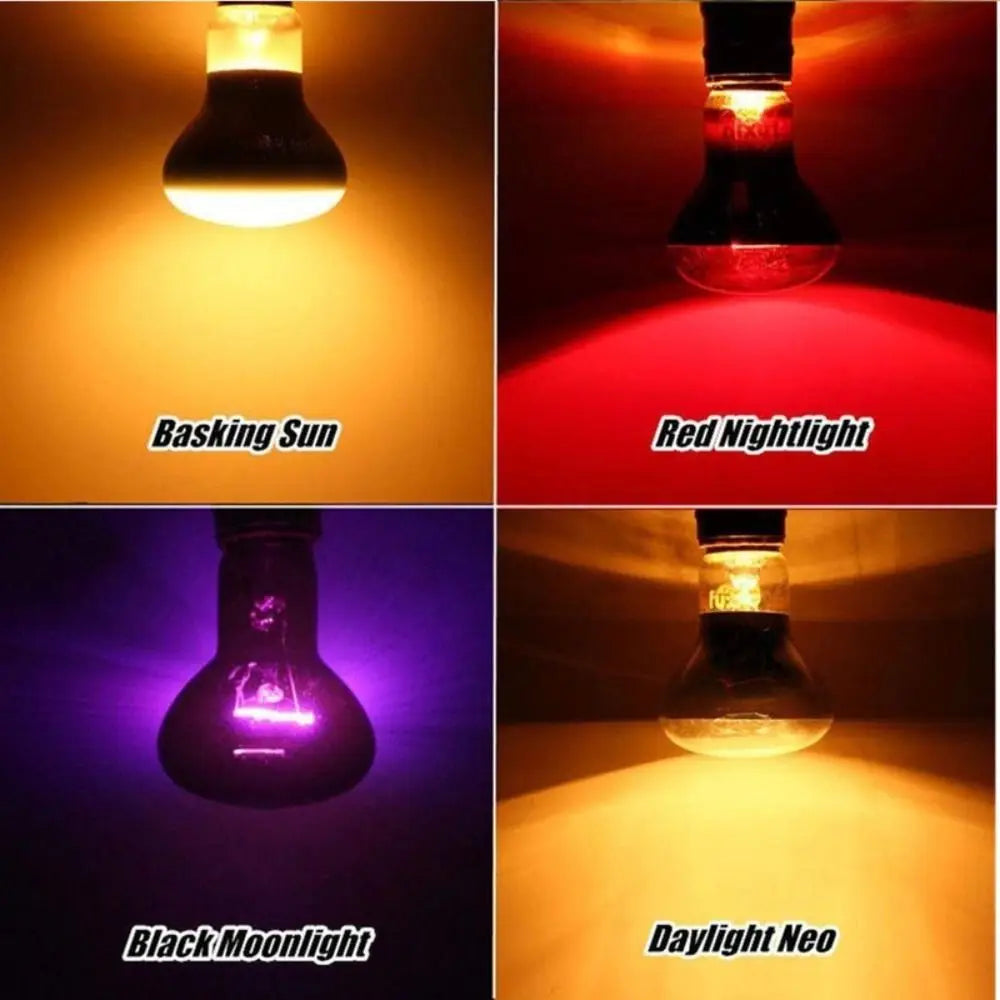 Glass Bulb UVA Led Pet Heating Lamp Infrared - MyPetDollar.com