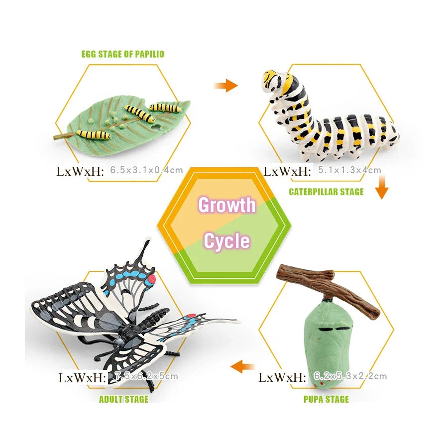 Realistic Insect Grasshopper Mosquito Cicad - MyPetDollar.com