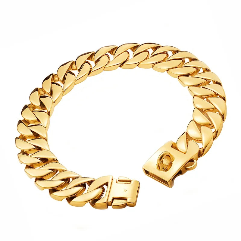 Large Dog Collar 32mm Metal Pet Choker Gold - MyPetDollar.com