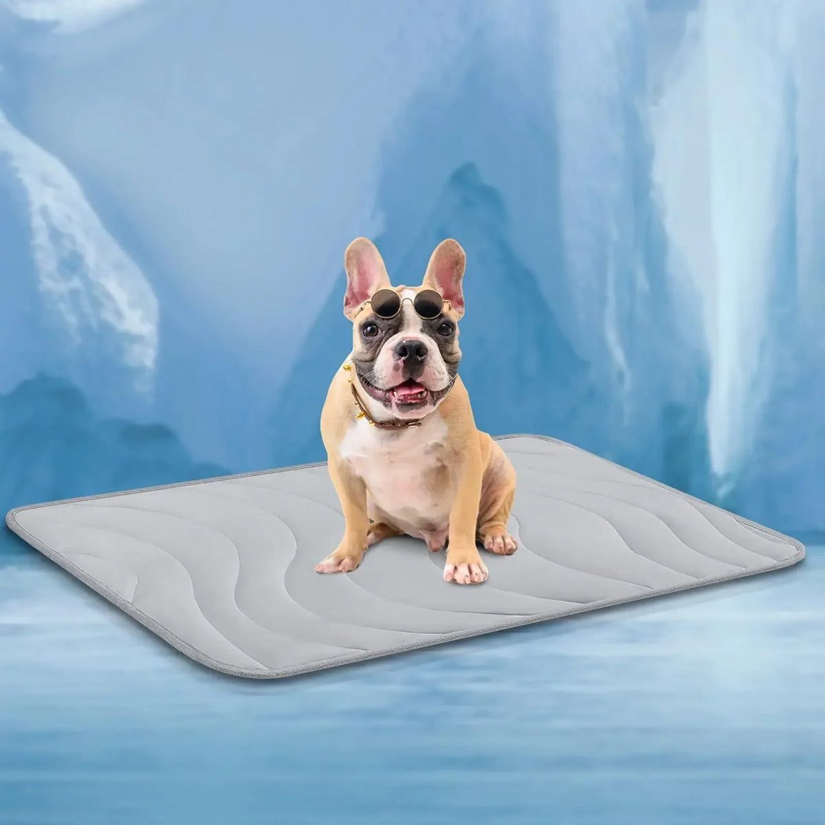 Double-Sided Gentle Wear Resistant Pet Ice - MyPetDollar.com