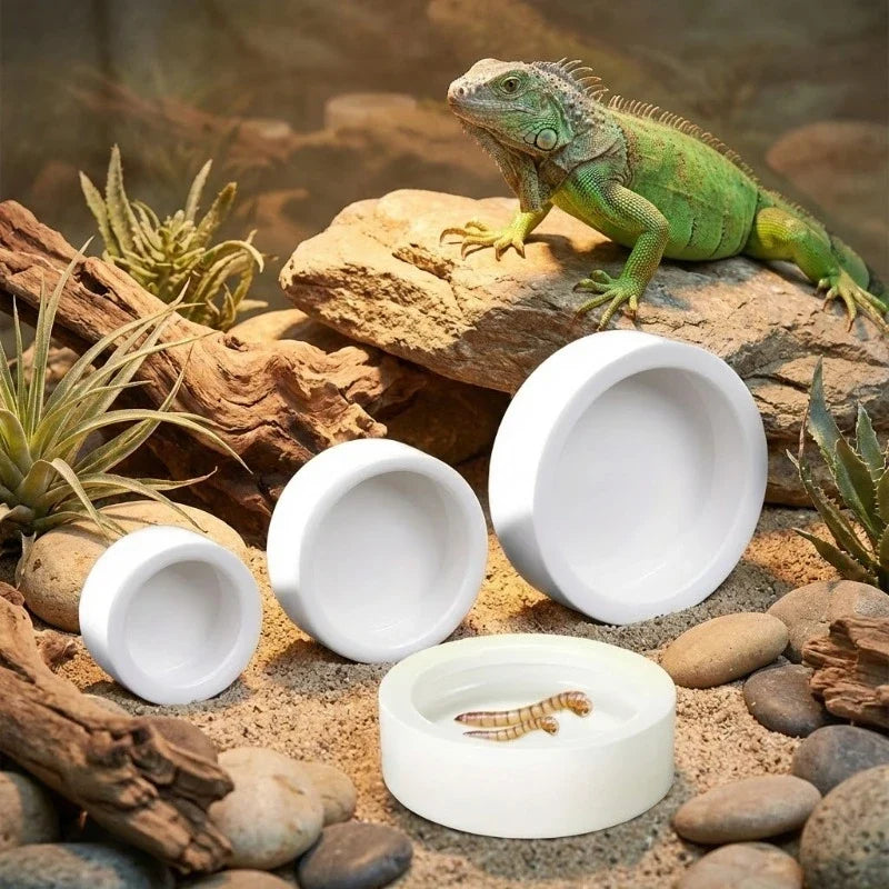 Anti-Escape Ceramic Reptile Bowl Mealworm - MyPetDollar.com